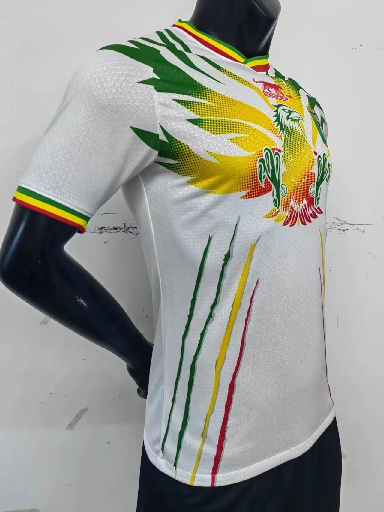 Mali Home Player Version 20-23