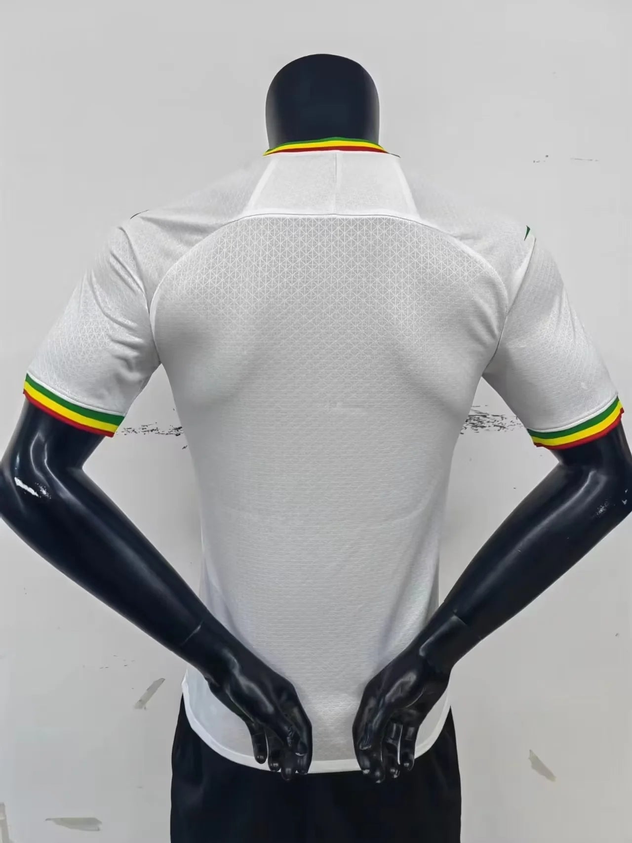 Mali Home Player Version 20-23