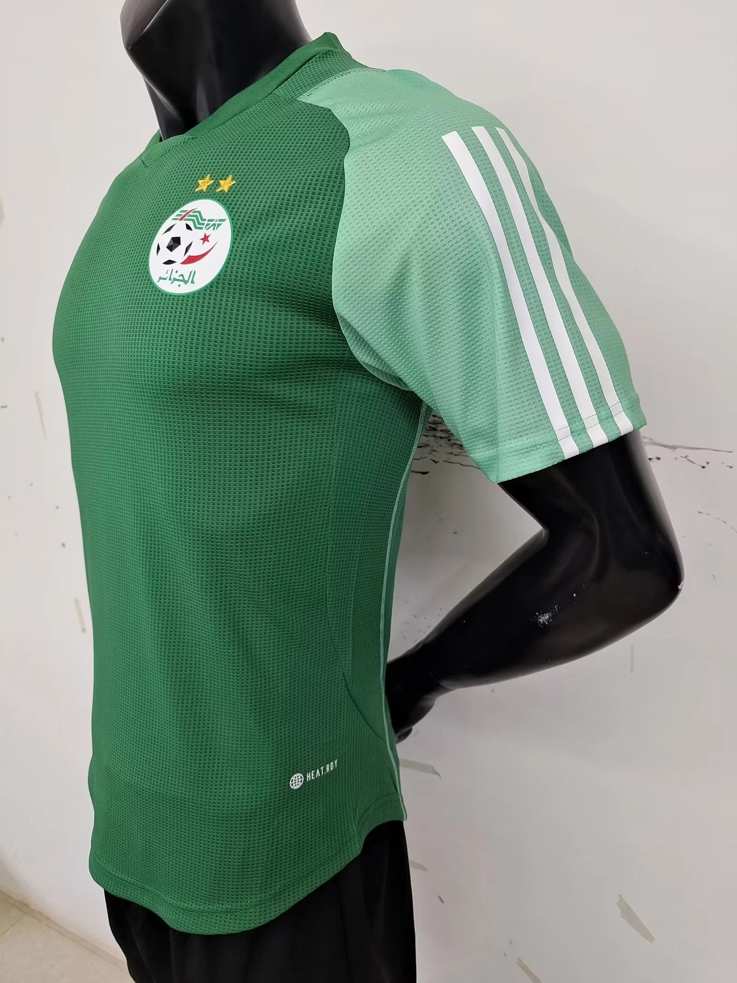 Algerian Green Player Version 23-24