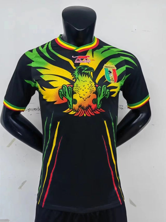 Mali Third Player Version 20-23