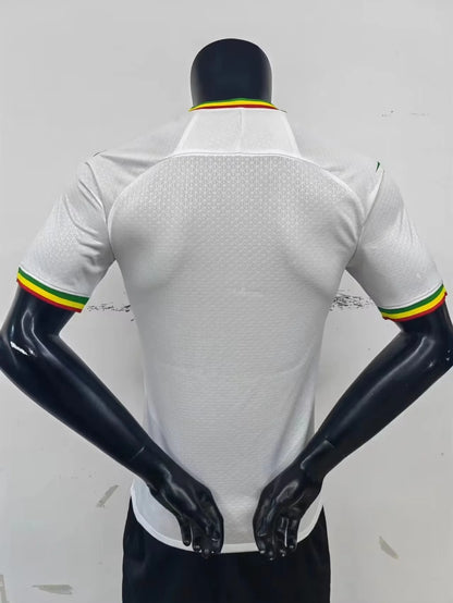 Mali Home Player Version 20-23