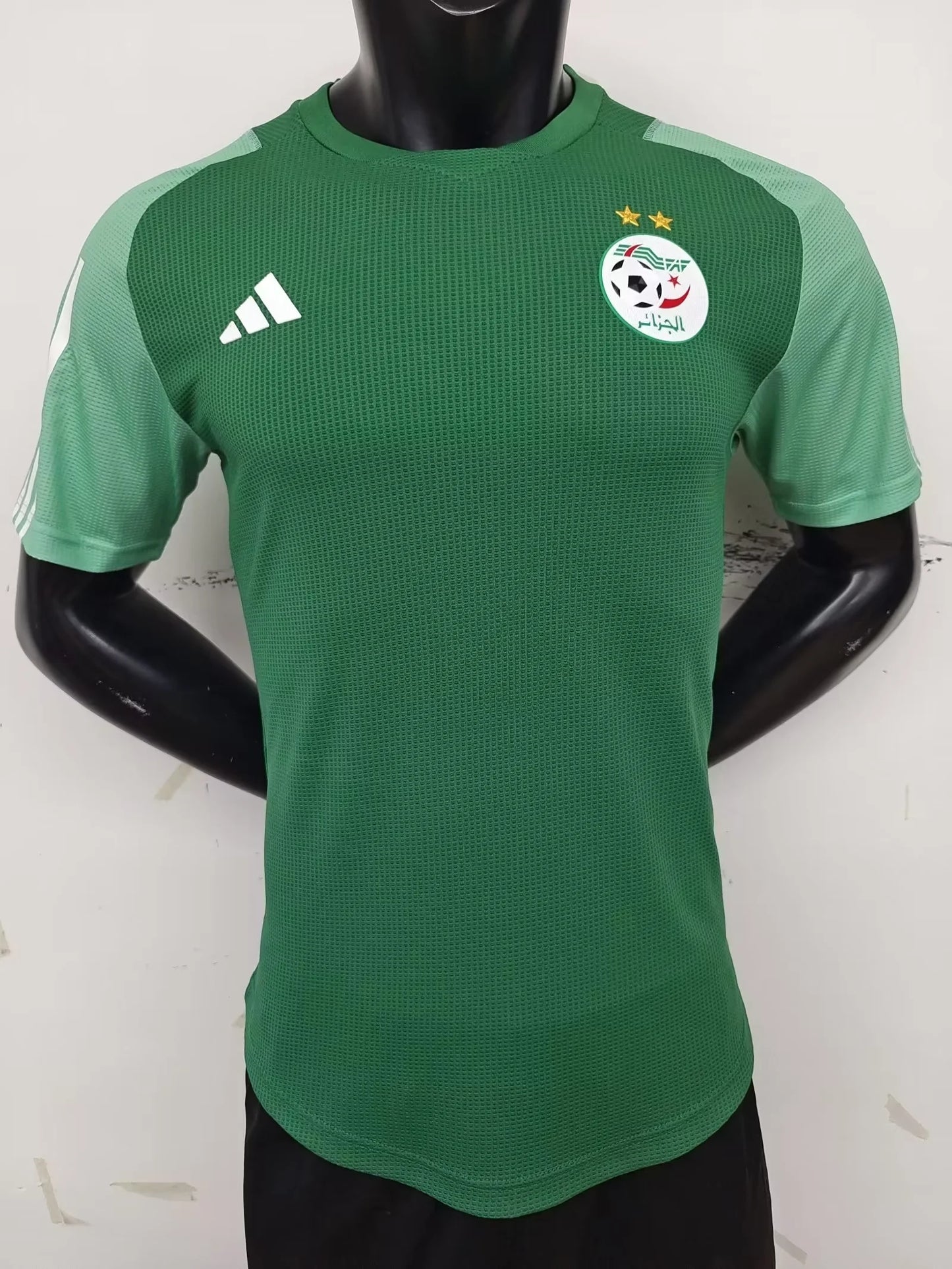 Algerian Green Player Version 23-24