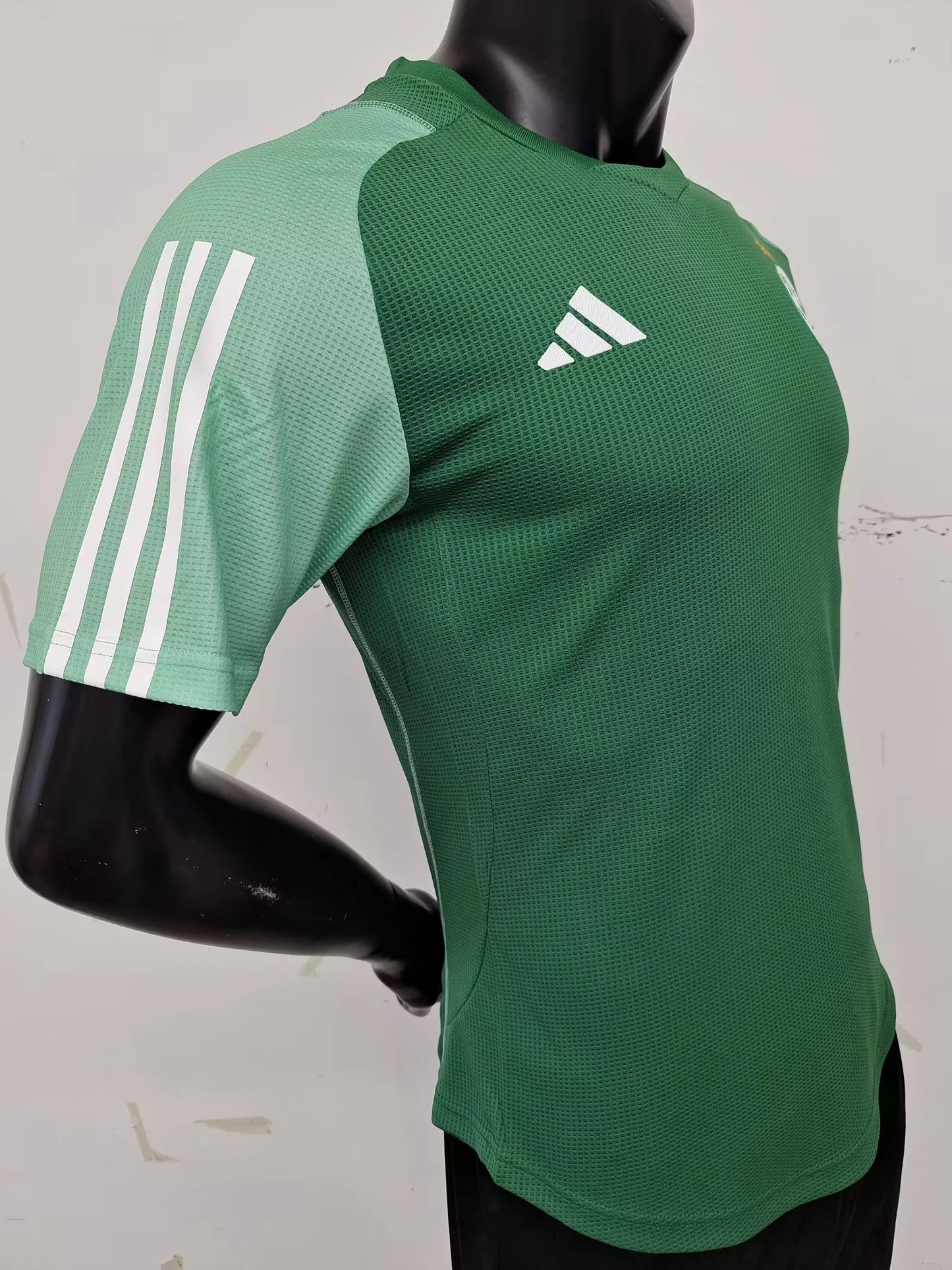 Algerian Green Player Version 23-24