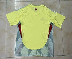 Espagne Away Fan Version 24 - 25