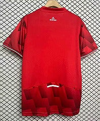 LOSC Lille Home Fan Version 25-26
